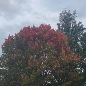 Meet your Posher, Erick